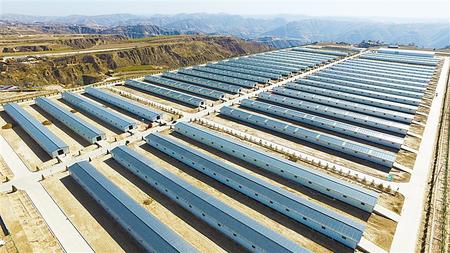 小康路上“羊”眉吐氣——慶陽環縣脫貧攻堅工作綜述